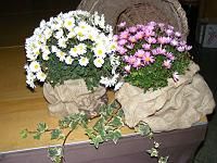 2008 1108Seniorennachmittag0004