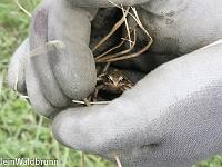 20110707-IMG 7757 : Kinderfreizeit, Workshops
